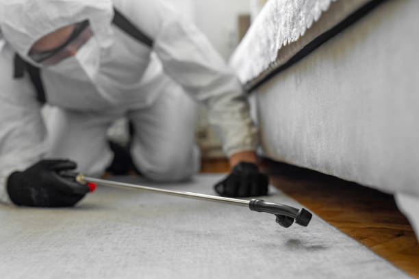 Professional Pest Control technician working in Glendora, CA
